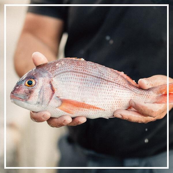 Fresh Seafood delivered by Catanese Classics